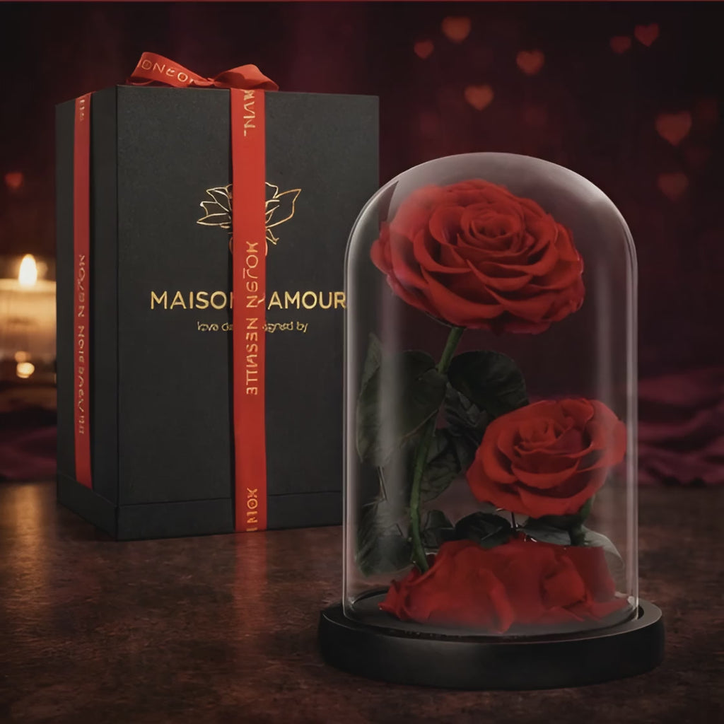 Eternal Rose in Glass Dome (9”) – Preserved Flower Gift Box